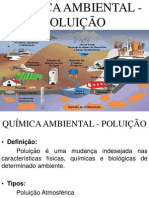 Química Ambiental - Poluição