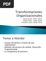 Desarrollo Organizacional