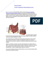 La Salud Cerebral Pasa También Por Los Intestinos