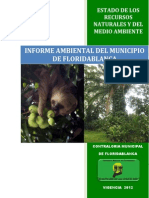 Informe Final Ambiental Anual Sobre El Estado de Los Recursos Naturales Vigencia 2012