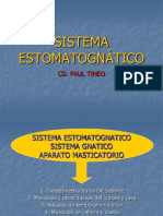 Sistema Estomatognático