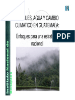 Bosques Agua y Cambio Climtico en Guatemala -InAB- 2008