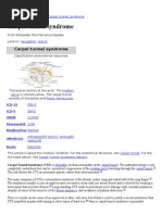 Download Carpal Tunnel Syndrome by Pramadya Vardhani Mustafiza SN167475662 doc pdf