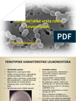 Karakteristike Vrsta Roda Leuconostoc