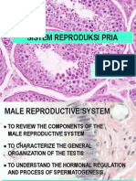 Sistem Reproduksi Priac