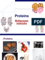 Ap Macromolecule 2