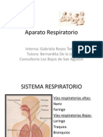 Aparato Respiratorio CALERA