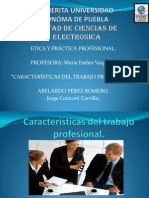 Características Del Trabajo Profesional