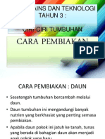 Download Dst Tahun 3 - Cara Pembiakan Tumbuhan by NajwaZainuddin SN167525333 doc pdf