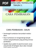 Download Dst Tahun 3 - Cara Pembiakan Tumbuhan by NajwaZainuddin SN167525333 doc pdf