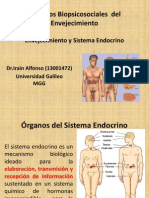 Envejecimiento y Sistema Endocrino Dr.irain Alfonso