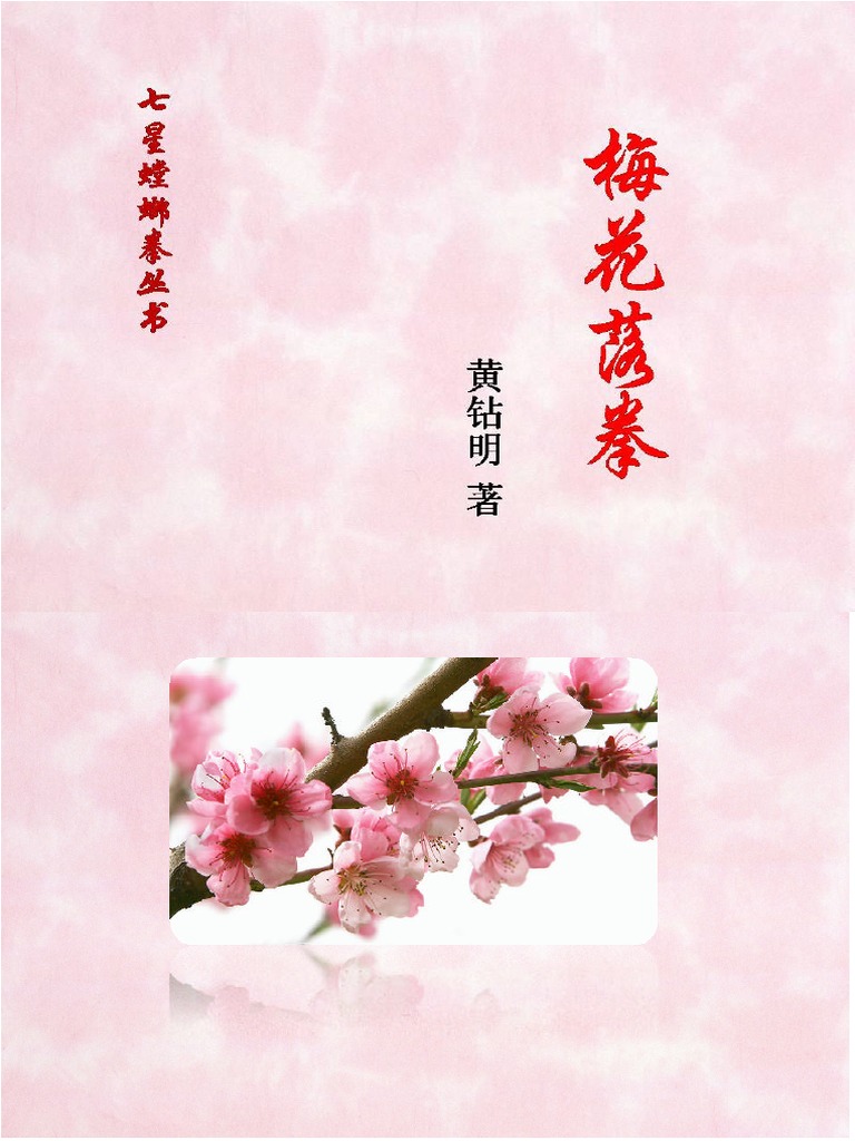 迷踪拳(第七册)-迷踪拳系列叢書 1674876934?v=1