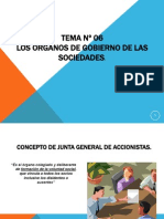 TEMA Nº 06. LOS ORGANOS DE GOBIERNO DE LAS SOCIEDADES (1)