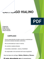 Cartilago Hialino