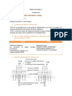 Cuestionario LCT