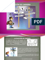 Toma de Decisiones Eleccion de Carrera