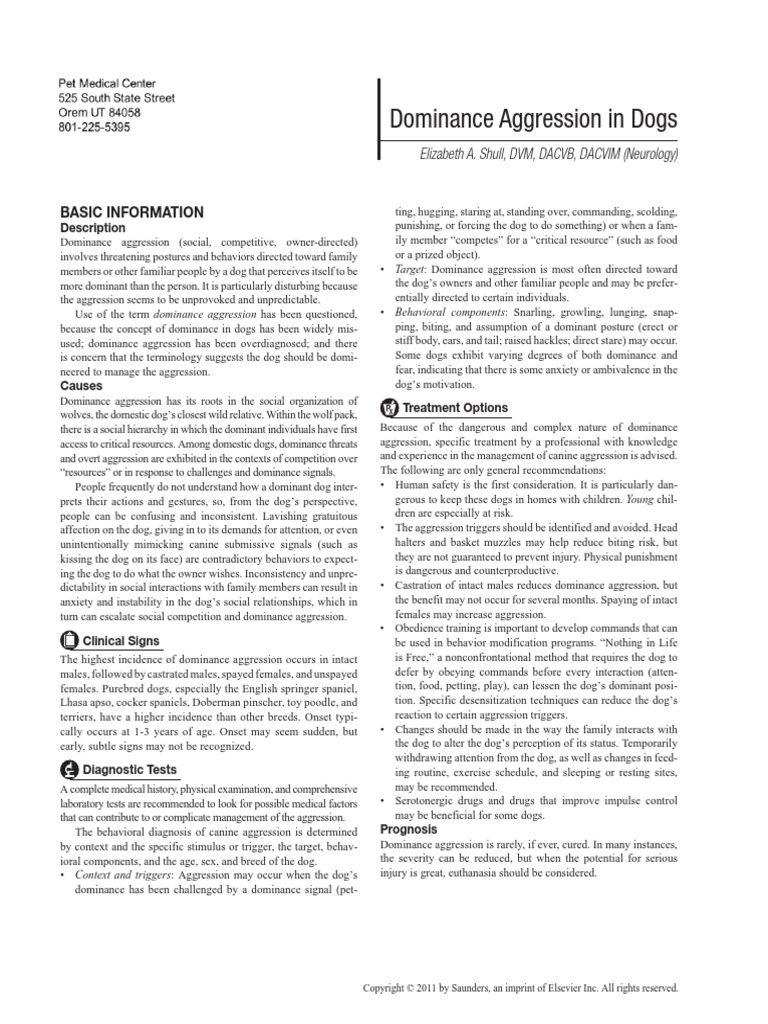 Dominance Aggression in Dogs PDF Aggression Neutering