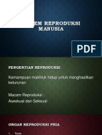 Sistem Reproduksi Manusia 2013