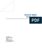 Geran A en Zxg10 Ibsc Configuration 5 Word 201010 140