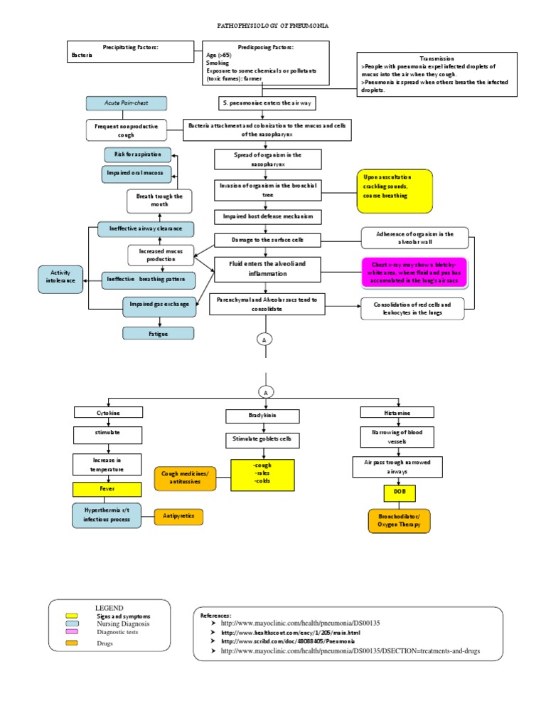 Pathophysiology of Pneumonia Explained | PDF