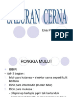 Rongga Mulut dan Sistem Pencernaan