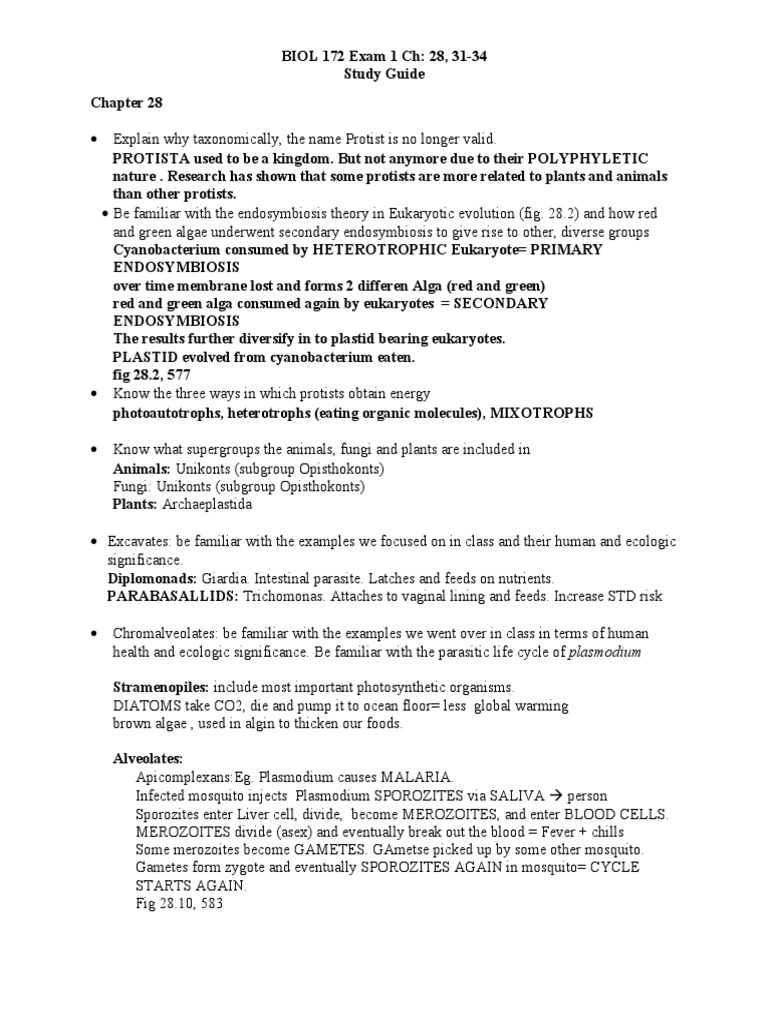 BIOL 172 Exam 1 Study Guide Overview | PDF | Biology | Organisms