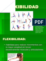 Flexibilidad Fran Nueva