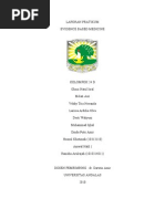 Download EBM pico by Ismail Abdullah SN167611779 doc pdf