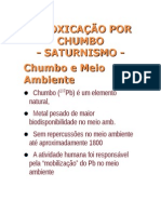 4 AULA INTOXICAÇÃO POR CHUMBO2013.1portal