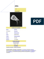 Giardia Lamblia