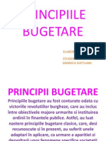 Prezentare Microsoft Office PowerPoint (2)