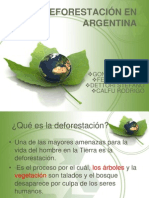 Deforestación en Argentina