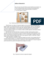 Identificarea Biometrica