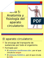 aparato_circulatorio