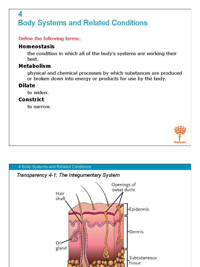 4 Body Systems and Related Conditions Homeostasis PDF Arthritis