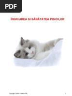 Anatomia Pisicii  PDF