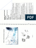 Trouble Shooting Filamentous Bacteria by Ash