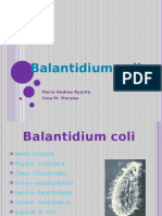 Balantidiumcoli 100609161732 Phpapp01