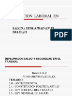 Legislacion Laboral en Seguridad1