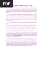 Download Cerpen Serpihan Hati Di Ujung Senja by Yos Sudarso SN16768749 doc pdf