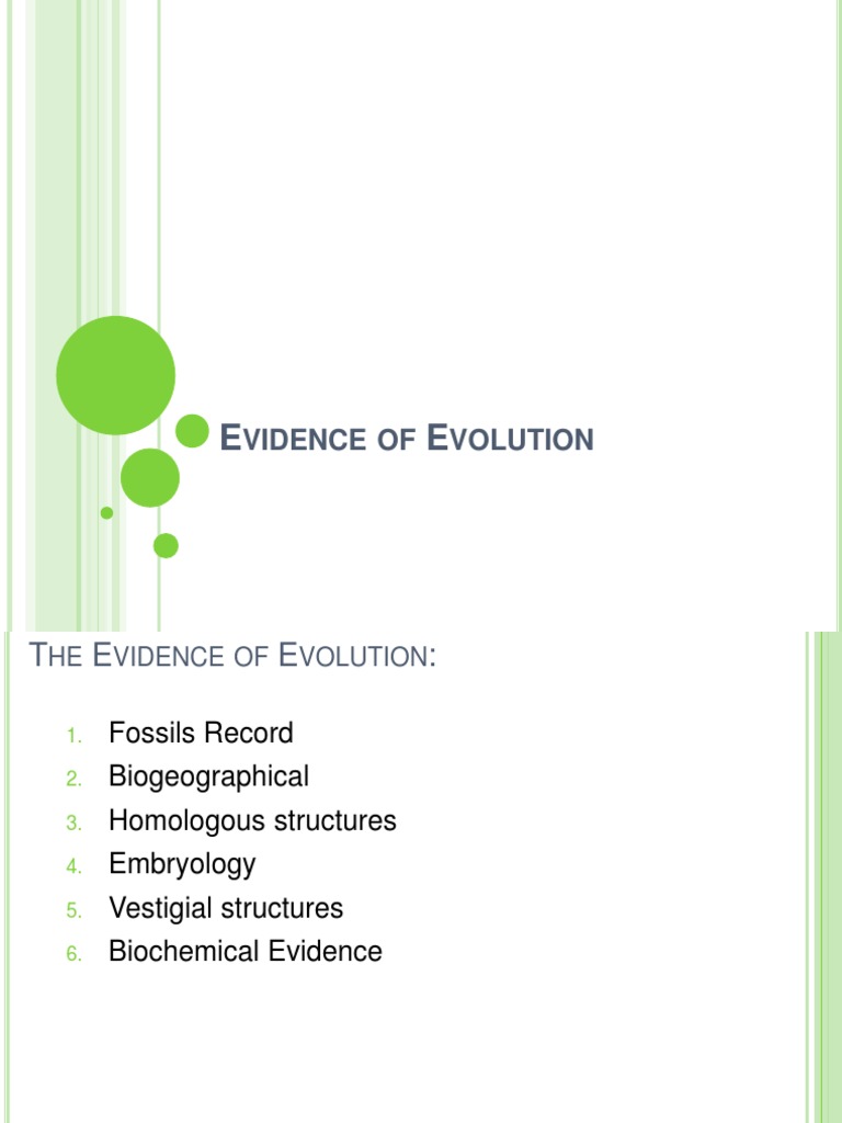 3 Evidence Notes To Post PDF Fossil Homology (Biology)