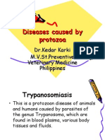 Diseases Caused by Protozoa
