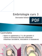 Embriologie 3