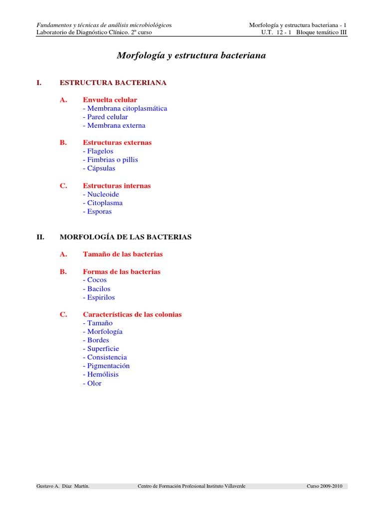 Morfologia y Estructura Bacteriana PDF | PDF | Las bacterias | Citoplasma