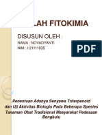ppt fitokimia