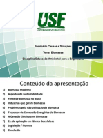 68116360 Biomassa Seminario Problemas e Solucoes