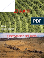 Degradacion Del Suelo 2