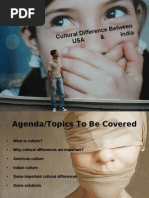 Cultural Difference Between India and US