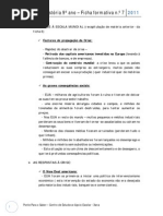 Hist 9 Ficha 7