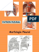 6 Derrame Pleural